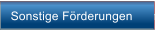 Sonstige Frderungen